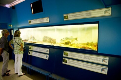2019-06-28 00:00:00 - Oostende sluit Noordzeeaquarium