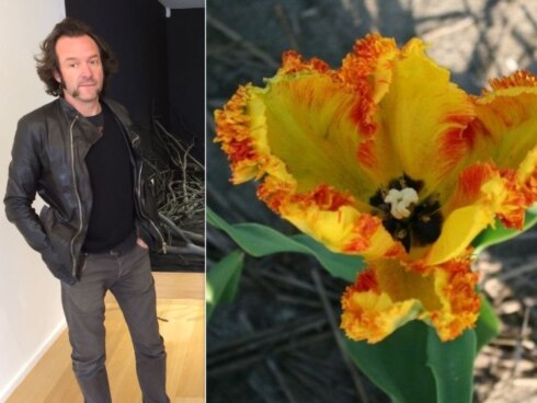 2022-04-29 00:00:00 - Kunstenaar Arne Quinze krijgt eigen tulp