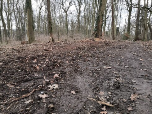 2023-02-02 00:00:00 - Kaalslag in Sint-Arnolduspark: klacht tegen aannemer