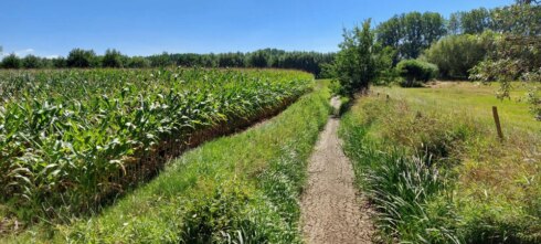 2022-08-07 00:00:00 - Algemeen en permanent rook- en vuurverbod in Vlaamse bos- en natuurgebieden