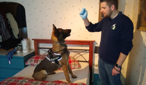 2019-02-28 00:00:00 - Hond spoort bedwantsen op