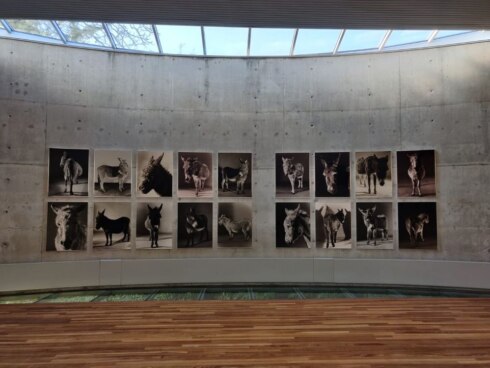 2021-03-07 00:00:00 - Unieke fotografie tentoonstelling in Be-Part