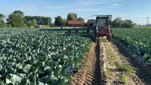 2020-07-23 00:00:00 - Corona en droogte spelen landbouwers parten
