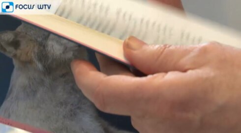 2021-03-04 00:00:00 - Schilder Robert Devriendt schrijft debuutroman