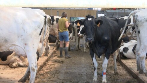 2023-03-28 00:00:00 - Recordaantal landbouwers klopt aan bij Boeren op een Kruispunt