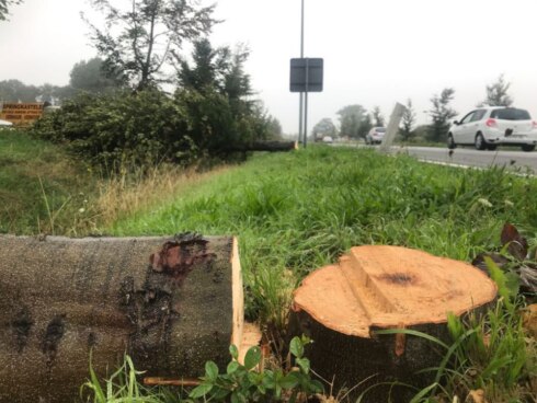 2018-09-04 00:00:00 - 200 beuken per vergissing gerooid