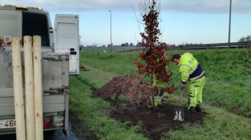 2019-12-11 00:00:00 - Nieuwe bomen zetten fout recht