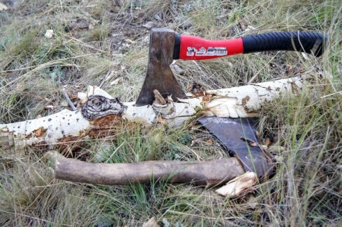 2018-05-18 00:00:00 - Sp.a Blankenberge verbolgen over bomenkap