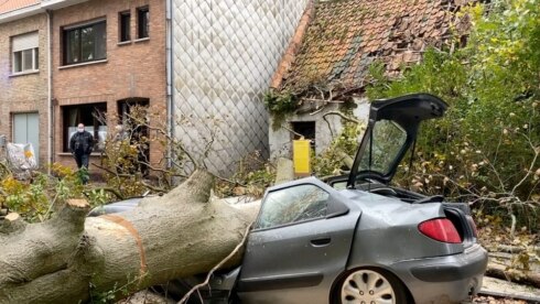 2020-11-01 00:00:00 - Omvallende boom verplettert wagen
