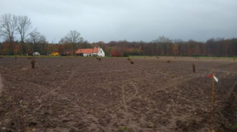 2021-11-28 00:00:00 - Winsol maakt werk van bedrijfsbos van twee hectare