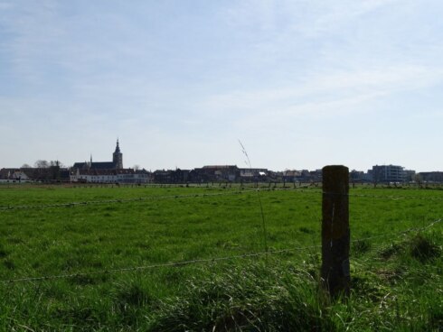 2023-04-05 00:00:00 - Toch nieuw bos op komst in Diksmuide na protest van drie jaar