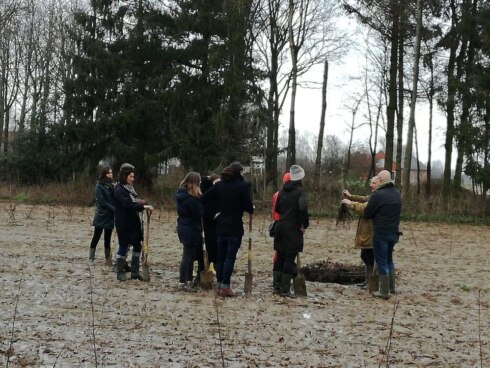 2020-02-13 00:00:00 - West-Vlaamse cultuurhuizen planten bos