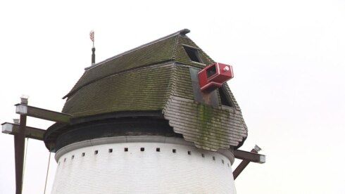 2019-12-11 00:00:00 - Wieken Briekenmolen worden gerestaureerd