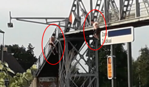 2019-07-05 00:00:00 - Brugspringers gefilmd in Ingelmunster
