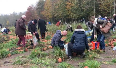 2018-11-15 00:00:00 - Stormloop op beeldjes CWRM in de Palingbeek