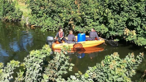 2018-07-31 00:00:00 - Geurhinder door vissterfte in Ieper