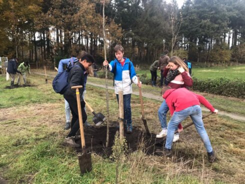 2019-11-23 00:00:00 - 1.000 nieuwe bomen geplant in Wingene