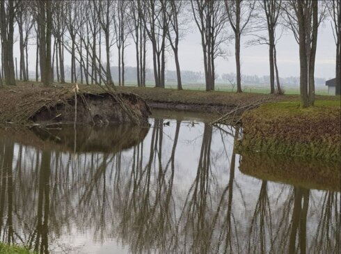2019-01-31 00:00:00 - "Overstromingen dreigen in Oostkustpolder"