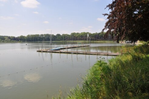 2019-08-27 00:00:00 - Giftige blauwwieren in Dikkebusvijver