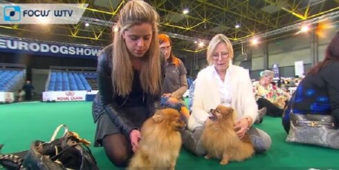 2017-11-19 00:00:00 - 20.000 bezoekers voor Eurodogshow