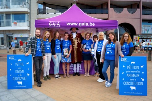 2017-08-09 00:00:00 - GAIA wil dieren in grondwet met petitie in Blankenberge
