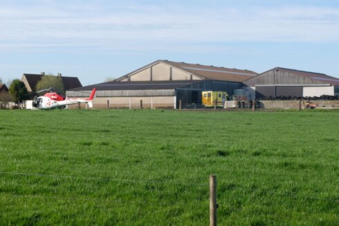 2018-04-11 00:00:00 - Landbouwer komt onder rund terecht en sterft