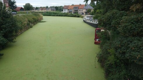 2021-08-17 00:00:00 - 100-tal dode vissen op kanaal Duinkerke-Nieuwpoort