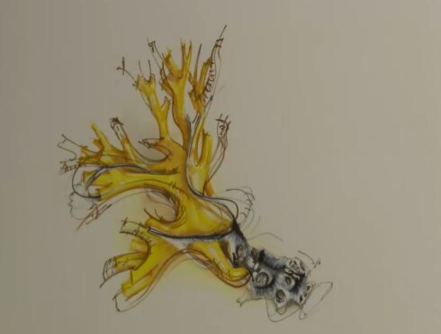 2022-05-12 00:00:00 - Kunstenaar Nick Ervinck toont werk in geboortestad