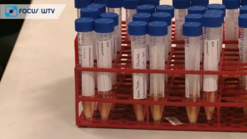 2020-08-17 00:00:00 - Drukke tijden in labo's die coronatesten analyseren