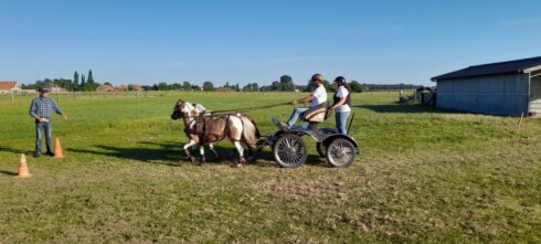 2022-06-21 00:00:00 - Krombeke viert 'Feest van het paard'
