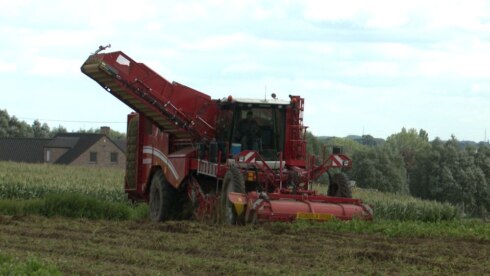 2023-08-25 00:00:00 - West-Vlaamse landbouwgrond blijft ondanks afkoeling duurste in Vlaanderen