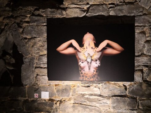 2023-05-05 00:00:00 - Bizar: fototentoonstelling van modellen met dode dieren