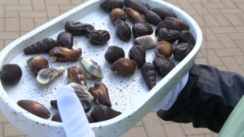 2023-08-30 00:00:00 -  Chocolade zeevruchten vieren 65ste verjaardag aan de kust