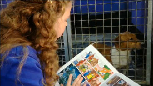2018-02-01 00:00:00 - Kinderen lezen verhalen voor aan honden