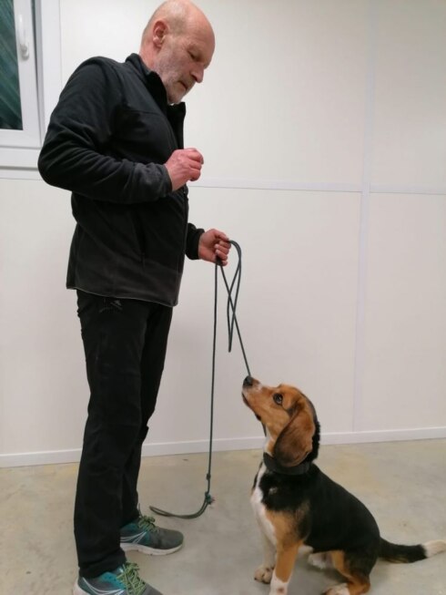 2021-03-03 00:00:00 - Honden sporen coronavirus op bij KV Oostende