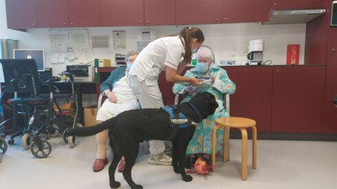 2022-08-03 00:00:00 - AZ Groeninge heeft nu ook een hond in dienst