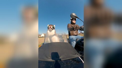 2021-04-28 00:00:00 - Samen op de motor... met een husky!