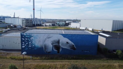 2023-01-07 00:00:00 - Muurschildering van ijsbeer in Zeebrugge geselecteerd voor werelds beste street art werk