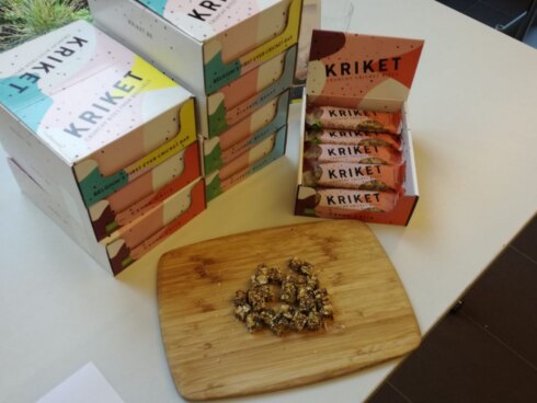 2019-11-28 00:00:00 - Vives kweekt insecten als voer voor mens en dier