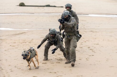 2023-08-25 00:00:00 - Honden laten zien wat ze kunnen bij politie en defensie op K9 in Koksijde