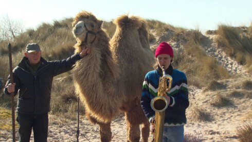 2021-03-05 00:00:00 - Dit is de Sahara niet, toch loopt er een kameel op het strand