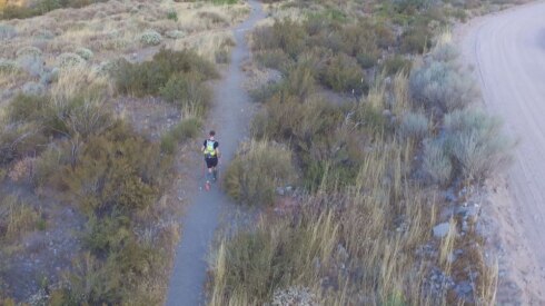 2016-07-20 00:00:00 - Waregemnaar loopt 4.400 km bij 40 graden
