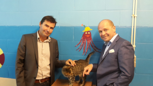2016-10-04 00:00:00 - Oostende organiseert chipdag voor katten