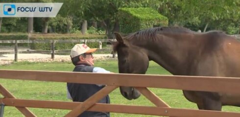2020-06-13 00:00:00 - Heropstart nadert voor Brugse paardenkoetsen