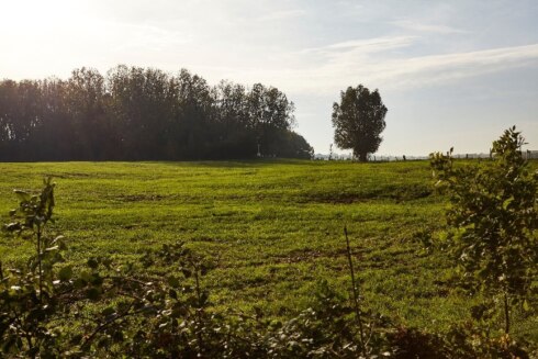 2019-05-20 00:00:00 - Bescherming van WOI-slagveld als archeologische site
