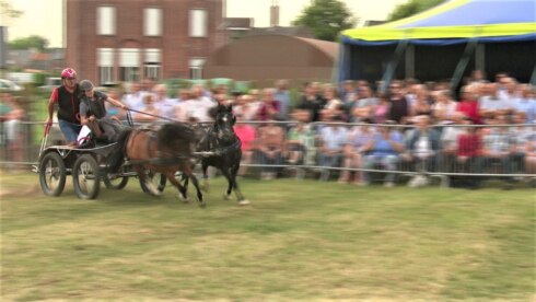 2023-06-20 00:00:00 - Feest van het Paard in Krombeke: "Spektakel en spanning"