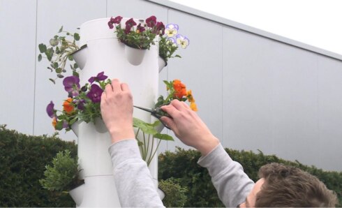 2021-03-04 00:00:00 - Verticale tuinbouw wint aan belang en populariteit