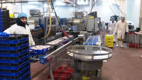 2019-06-20 00:00:00 - Drie kandidaat-overnemers voor slachterij Lammens