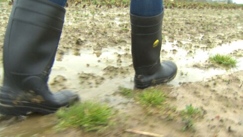2020-03-10 00:00:00 - Grillig weer zorgt voor vertraging op het land