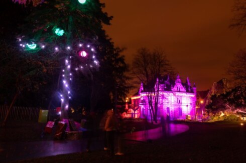 2021-01-11 00:00:00 - Meer dan 15.000 bezoekers voor Magisch Park